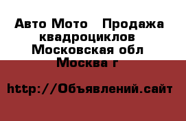 Авто Мото - Продажа квадроциклов. Московская обл.,Москва г.